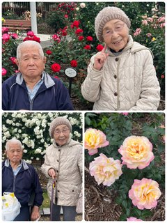バラ公園ツアー