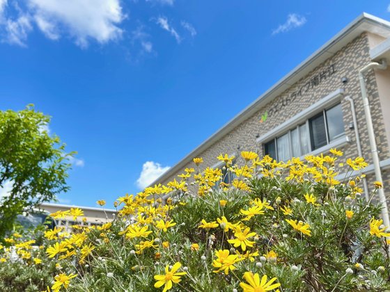 ウエストライフ南片江