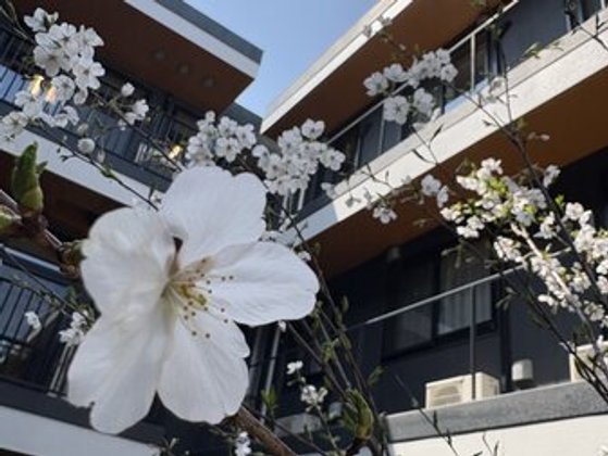 メディケア癒やし四番館 有田