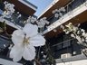 メディケア癒やし四番館 有田