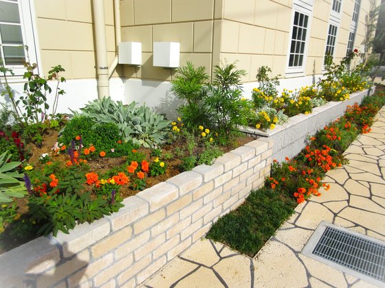 ジャルダン カトレア いすみ