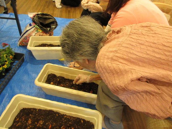 ジャルダン カトレア いすみ