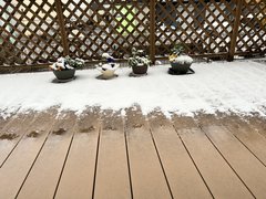 食堂から見たウッドデッキとお庭の様子①