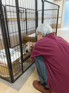 入居者様とラッキーの触れ合い