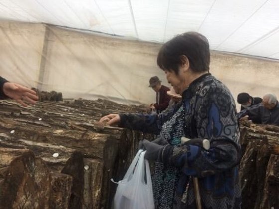 サービス付き高齢者向け住宅 にっこり山城