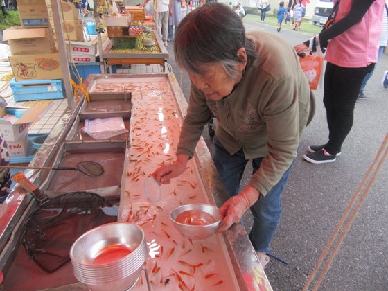 やすらぎの園津久野