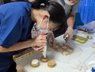 ナッセケアベイス 逆瀬川