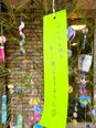 シニアあしたばの催し ～短冊へのお願い事編～