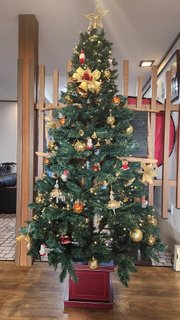 もうすぐクリスマス☆