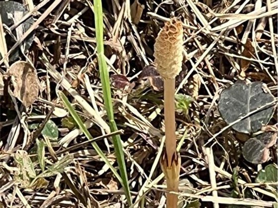 住宅型有料老人ホーム カルテット糸島