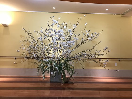 特別養護老人ホーム アンミッコ