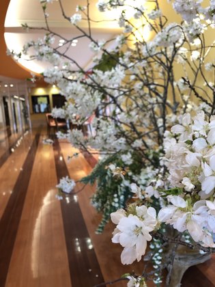 特別養護老人ホーム アンミッコ