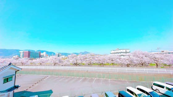 ベルライフ大和高田