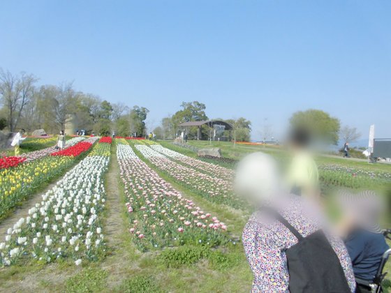 ベルライフ大和高田