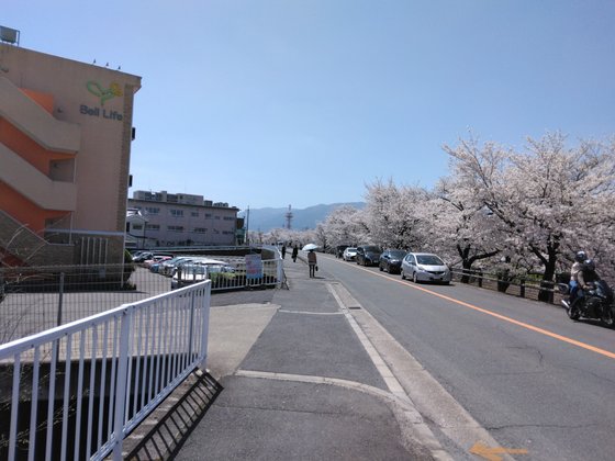 ベルライフ大和高田