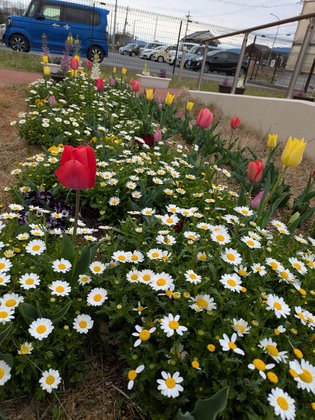 ベルライフ田原本