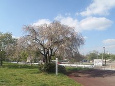 多摩川が近く、散歩も楽しめます。