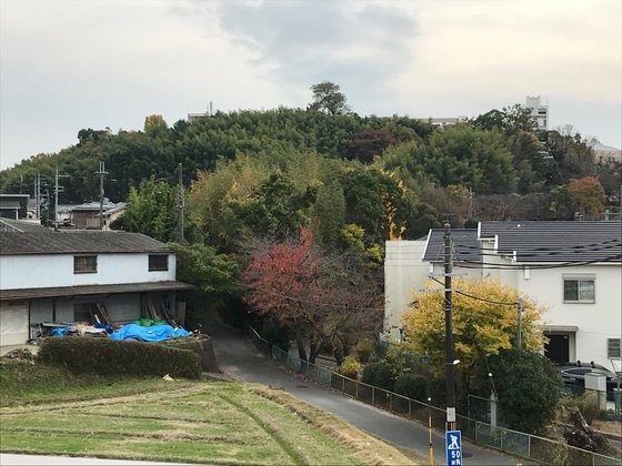 シェアハウス徒然