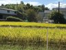 シェアハウス徒然