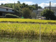秋の景色