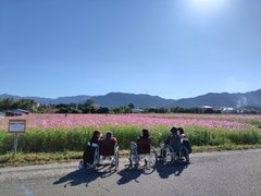 【秋のドライブ】