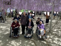 藤の花見学