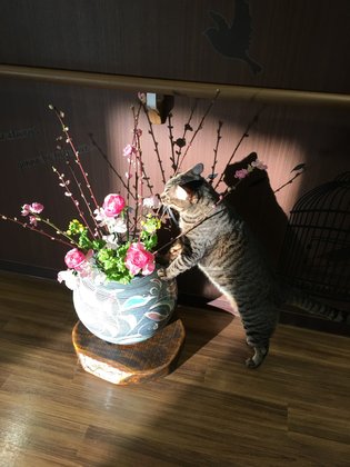 メディファムラウンジ