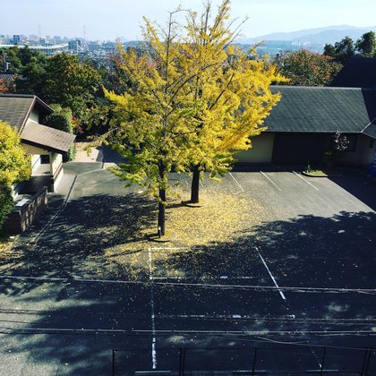 メディファムラウンジ