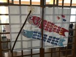 施設のこいのぼり