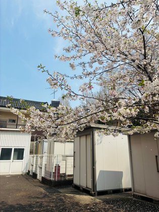 こころ十一屋