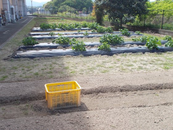 ライフステイいなつき