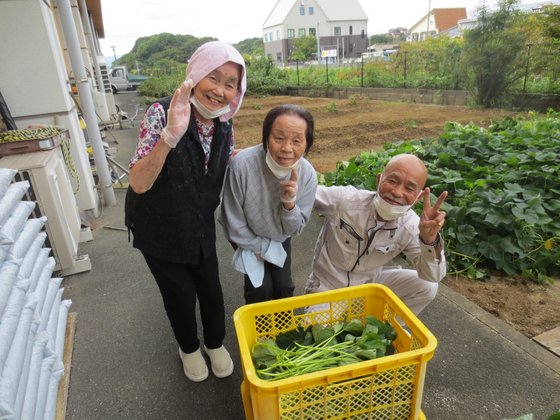 ライフステイいなつき