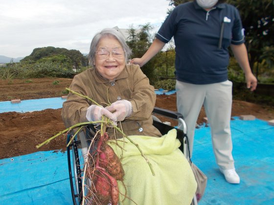 ライフステイいなつき