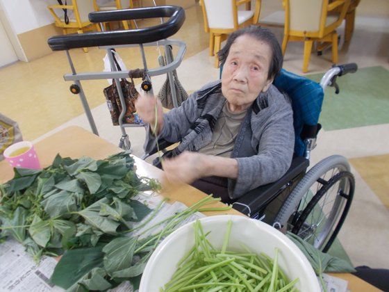 ライフステイいなつき