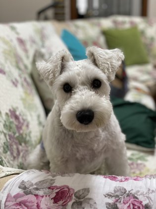 カーサポルト北条の海