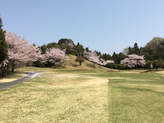 カーサポルト北条の海