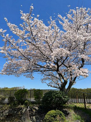 大倭滝の峯荘