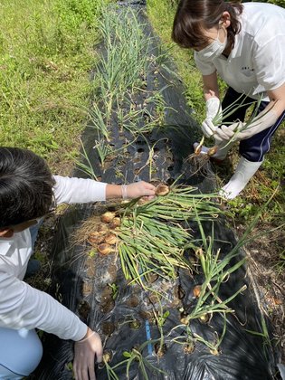 大倭滝の峯荘