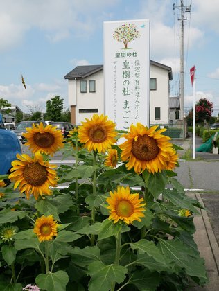 皇樹の杜まごころ