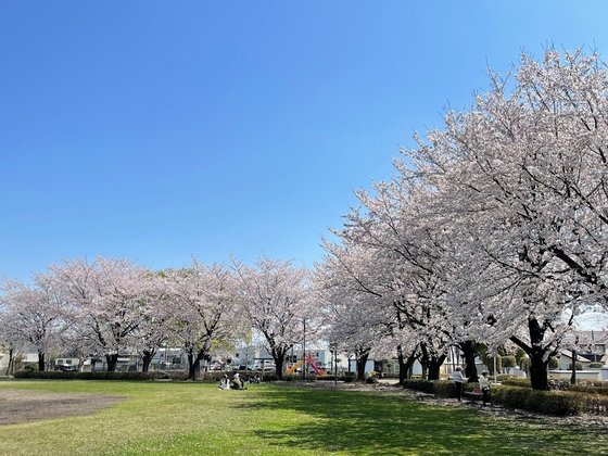 皇樹の杜まごころ