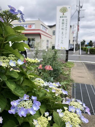 皇樹の杜まごころ