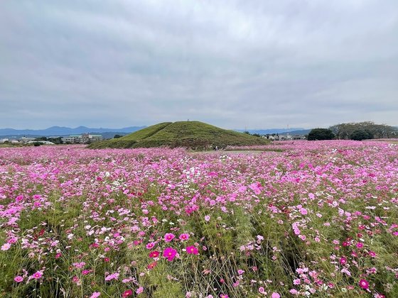 皇樹の杜まごころ