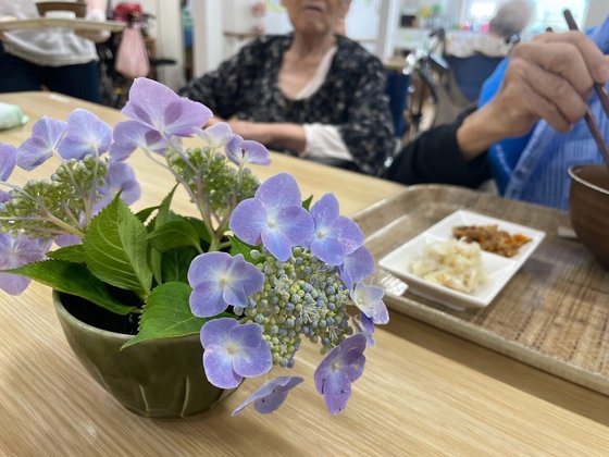 皇樹の杜まごころ