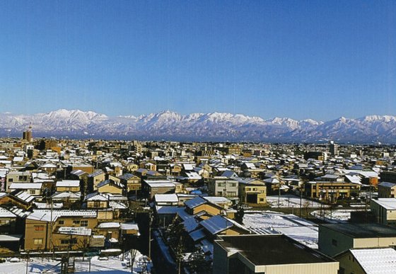 シニアライフもなみ