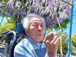 藤のお花見