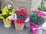 母の日のお花をいただきました