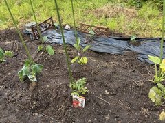 三ツ倉農園:畑づくり編