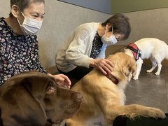 外出支援 in 犬カフェ