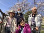 お花見日和
