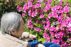 近所の公園にツツジを見にお出かけ🎵